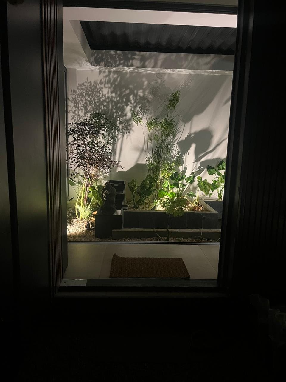 Central patio at night with uplit plants